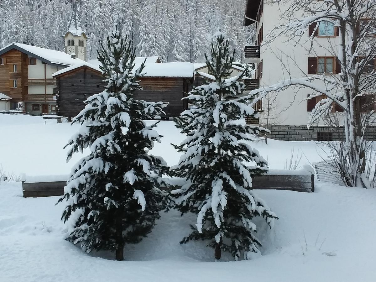 Apartament Anis Saas-Almagell Zewnętrze zdjęcie